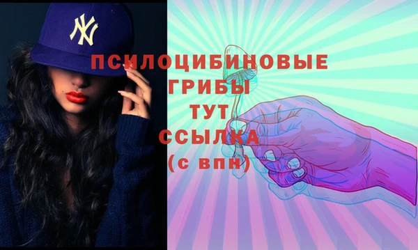 ALPHA PVP Баксан